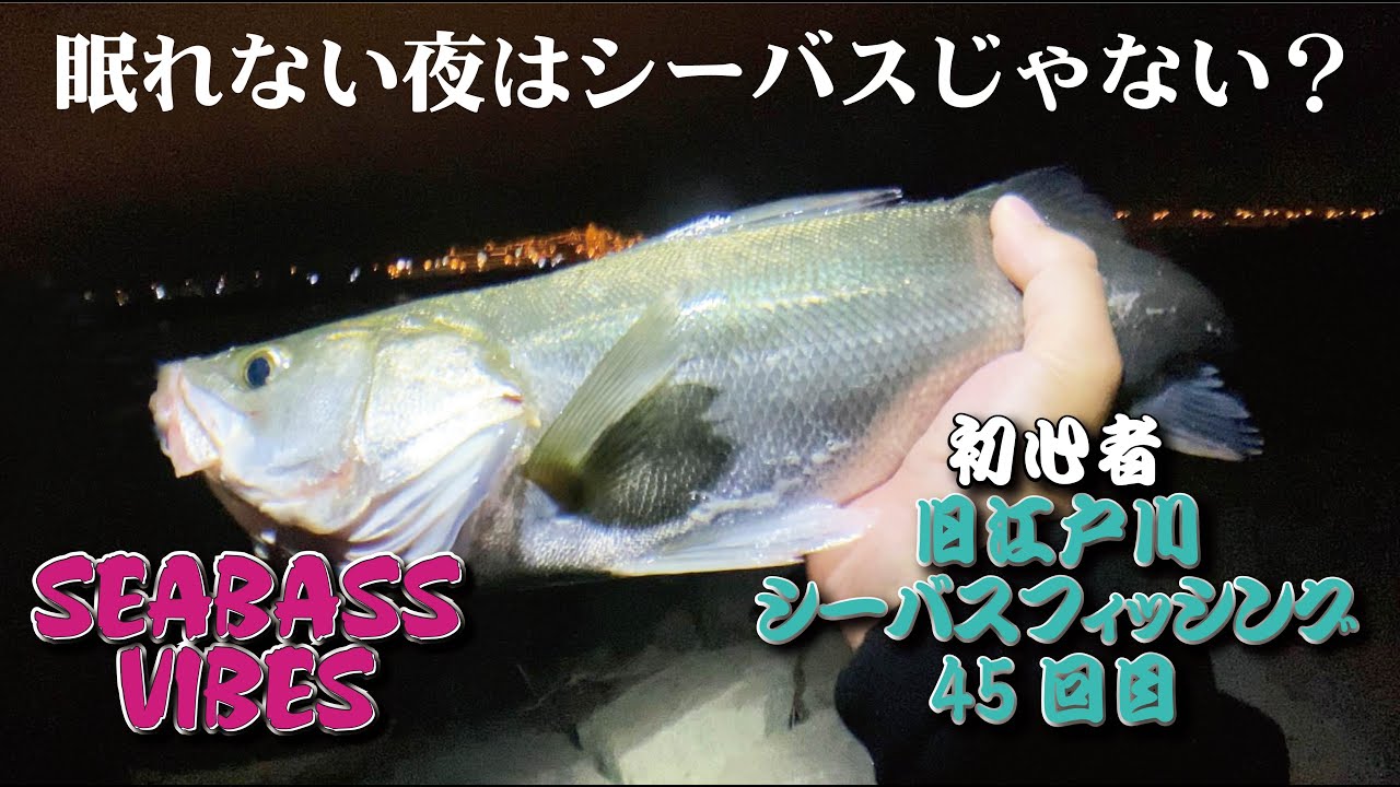 45回目シーバスフィッシング 東京湾奥 旧江戸川ナイトゲームでシーバスゲット 眠れない夜はシーバスじゃない Youtube