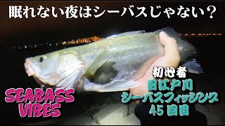 〈45回目シーバスフィッシング〉東京湾奥 旧江戸川ナイトゲームでシーバスゲット！眠れない夜はシーバスじゃない？