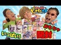 【開封動画】大量のピカちんキットで遊んだらオモロすぎたww（前編）