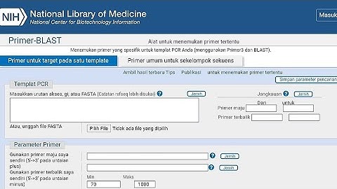 Praktikum Bioinformatika | Objek 8 Design Primer (Sitokrom b, Varanus komodoensis) | Kelompok 2A