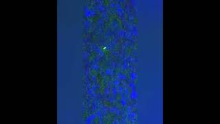 Star in the Sky : Du filtrage imperceptible aux Radar