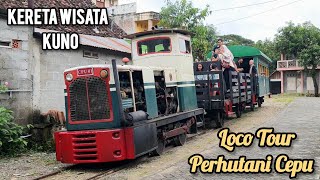 Berburu Kereta Wisata Kuno! Loco Tour Perhutani Cepu yang Legendaris 🚂