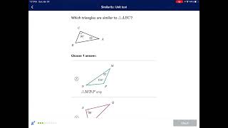 High School Geometry: Similarity Unit Test
