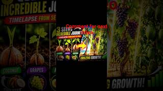 Coconut, Grapes &amp; Avocado Growing From Seed to Tree | Amazing Timelapse Growth Journey 🌱
