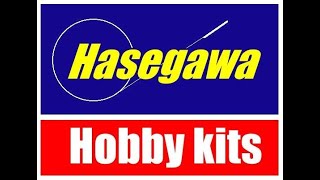 Hasegawa models: a very brief history