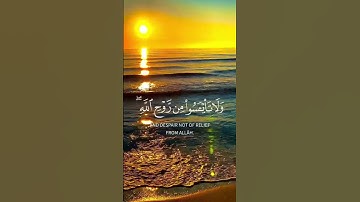 سورة يوسف الآيات{٨٦-٨٧} #المصحف#quran #اكسبلور #حالات_واتس #راحة_نفسية #duet # #اكسبلور #دويتو #isla