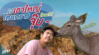 กางเต็นท์ นอนดูดาว ใกล้กรุงเทพ “เขาใหญ่” !! | อาสาพาไปหลง