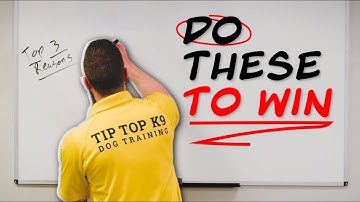 Why Do Most Startups Fail So Fast? | Tip Top K9 Business Advice