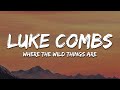 Luke combs  where the wild things are lyrics