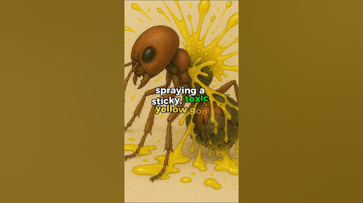 Mind-Blowing Facts #12: Ants That Explode & Plants That Live Forever?!