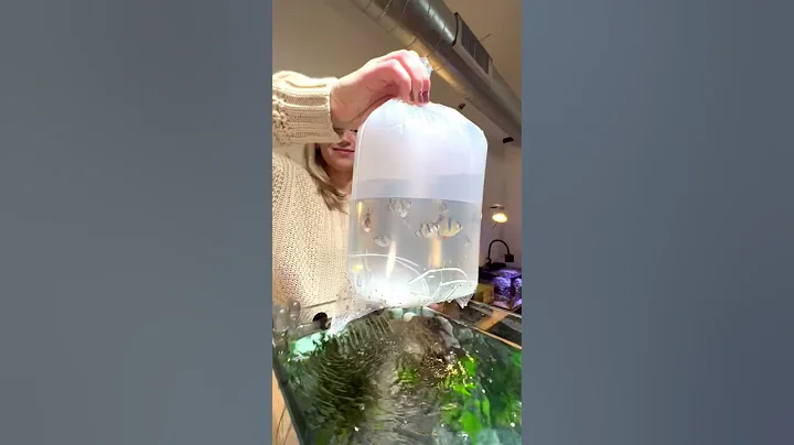 Acclimating NEW fish 🐠 - DayDayNews