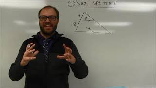 "Side Splitter" Theorem