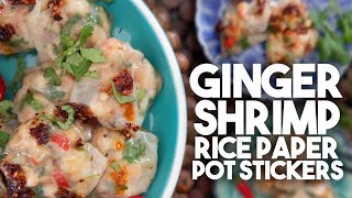 Ginger Shrimp Rice Paper Pot Stickers | Gluten Free | Kravings