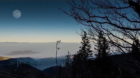 قُلْ سِيرُوا فِي الْأَرْضِ فَانْظُرُوا كَيْفَ بَدَأَ الْخَلْقَ - سورة العنكبوت - عبدالرحمن مسعد