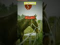 The Real Reason a Broken Leg Kills a Horse