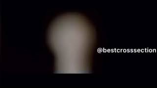 Bay Hiçkimse Filminden Bir Bölüm