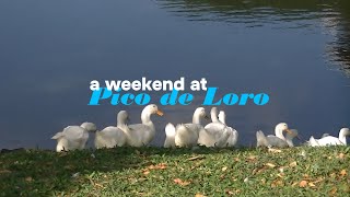 72 hours at pico de loro ♡ ̆̈  camcorder vlog