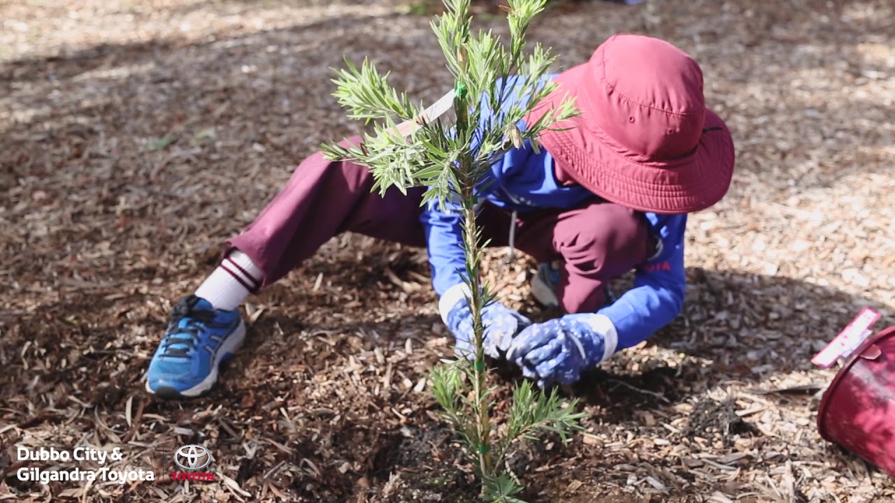 Dubbo City Toyota | National Tree Day 2018