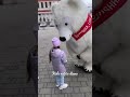 دبدوب عاشق دبه ويدلعها دبدوبه