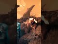 Atlas fallen: reign of sand