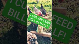 Cut your feed cost! - 1 simple step.