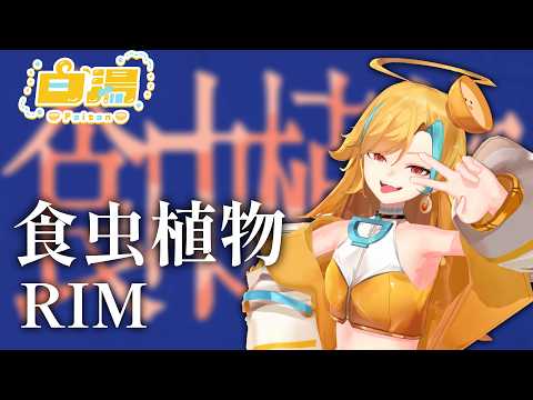 【麵音白湯】食虫植物 / 理芽｜歌回剪輯