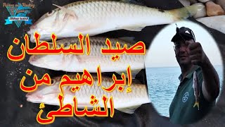 صيد سمكة السلطان ابراهيم من الشاطئ بطعم دود موجود ايضًا على نفس الشاطئ وبالمجّان، جبران صوّان