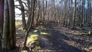 Sir Eglamore Child 18 Noise Reduced - Edith Baker