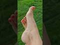 A nice summer day 🫶 #feet#soles#pedicure#relax