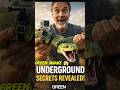 Green Snake POV: Underground Secrets Revealed! #microcamera #naturecontent #fishing #wildlife