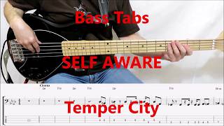 Temper City - Self Aware (BASS COVER + TABS PLAY ALONG IN VIDEO)