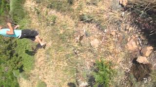 Andy Messing With Mad Cow In Spain