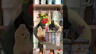 Smelly Shrek steals Lorax's limited edition Stanley😱🤮!? #foryou #funny #viral #preppy