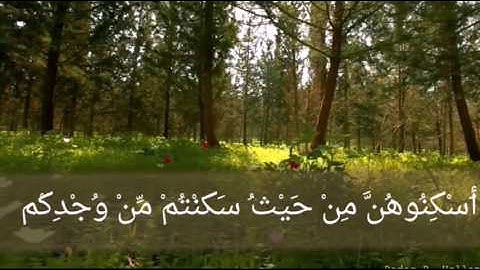 تلاوة جميلة لسورة الطلاق بصوت الشيخ وديع اليمني من آيه 6 الى آيه 12