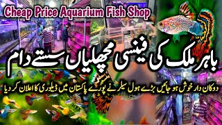 Wholesale Fish Aquarium Shop In Karachi | Home Aquarium Decoration Ideas @MultiTalentedPakistan