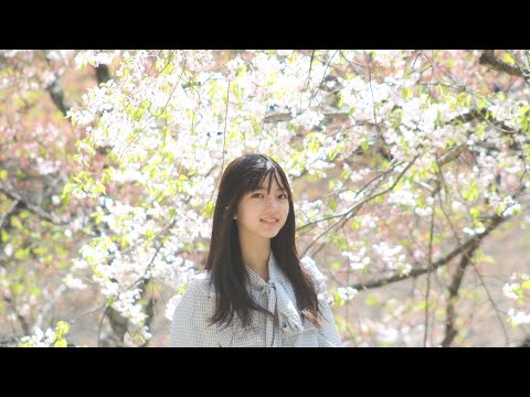 いきものがかり『SAKURA』歌ってみた
