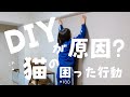 まさかの大惨事!洗面所のDIYしたら大問題になりました 猫のゲージがあってもおしゃれな部屋にリノベ 猫の困った行動 #100