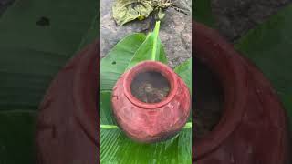 Pot chicken. मटका चिकेन with nature  food tandoori rurallifetr rurallife seafood viral