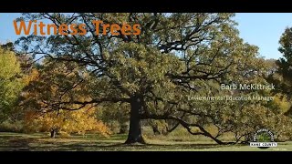 Witness Trees - Webinar
