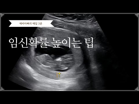 임신 준비 성공률 UP! 남편이 지켜야 할 필수 건강 습관