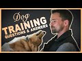 Dog Training Questions and Answers with Nate Schoemer