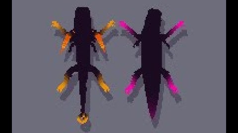 The Scrungly Experiment