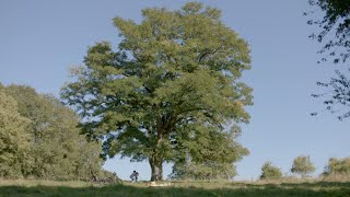 BGL BNP Paribas: by your side through your transition to sustainability