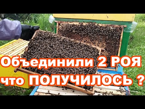 Объединили 2 РОЯ
