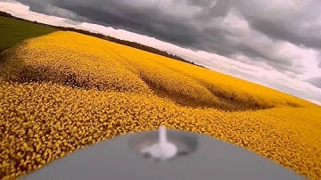 Maiden flight FPV Raptor v2