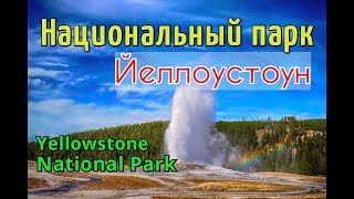 Национальный парк Йеллоустоун / Гейзер в Йеллоустоун / Дикая природа заповедника Йеллоустоун