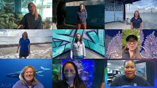 NOAA Ocean Exploration: 2022 Year in Review @oceanexplorergov