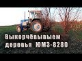 Выкорчевываем с поля деревья ЮМЗ-8280