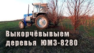 Выкорчевываем с поля деревья ЮМЗ-8280