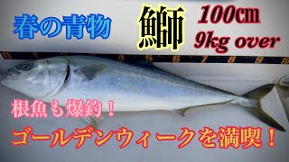 春の青物狙いからの巨大鰤！後半は根魚爆釣でゴールデンウィーク満喫釣行【スピネギ｜根ギング｜スロージギング｜ジギング｜キャスティング｜YF23】